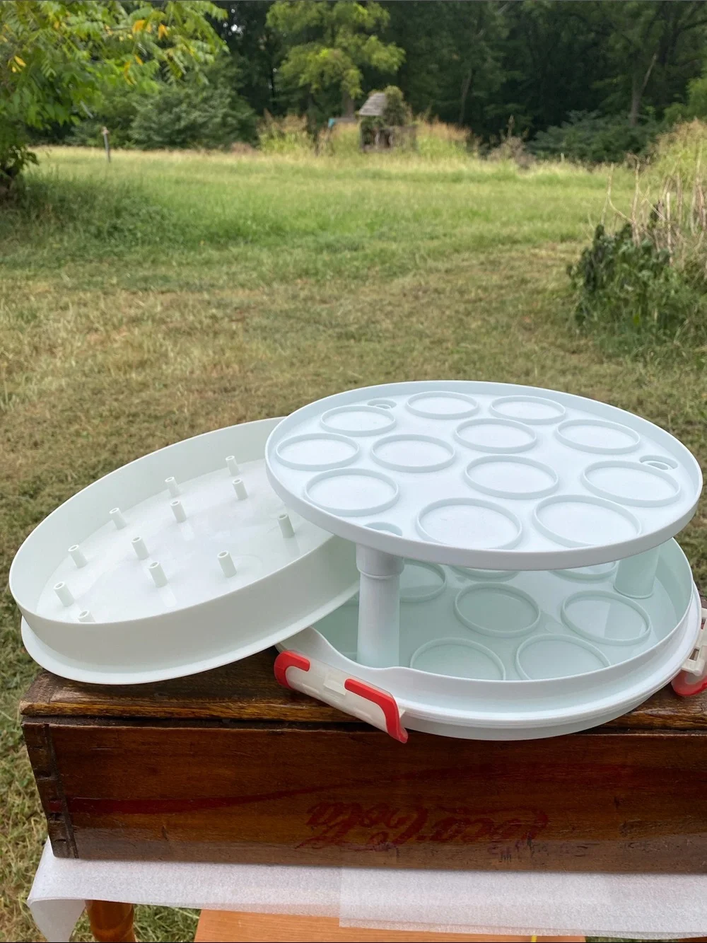 Crofton 3-in-1 Cupcake/Cake Carrier Divided Plate with Carrier Lid